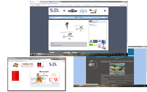 Desarrollo de Sitios Web.